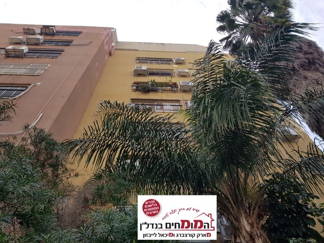 דירה, דניה, רחובות