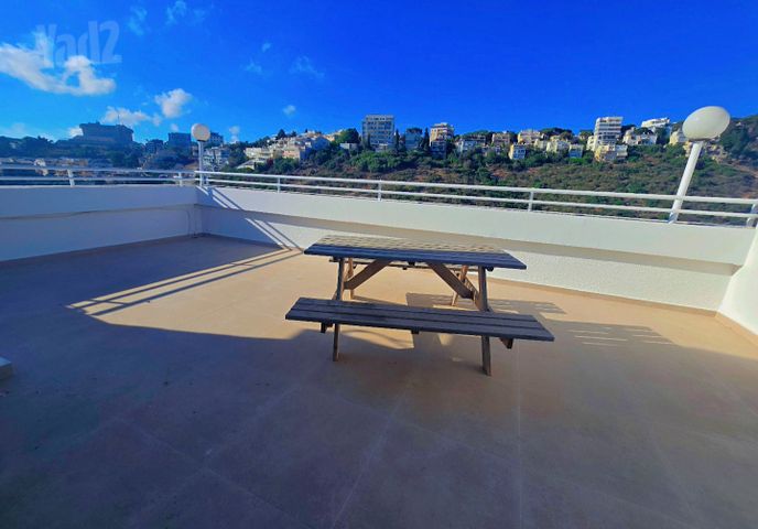 ראול ולנברג 