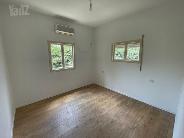 - תמונה 4