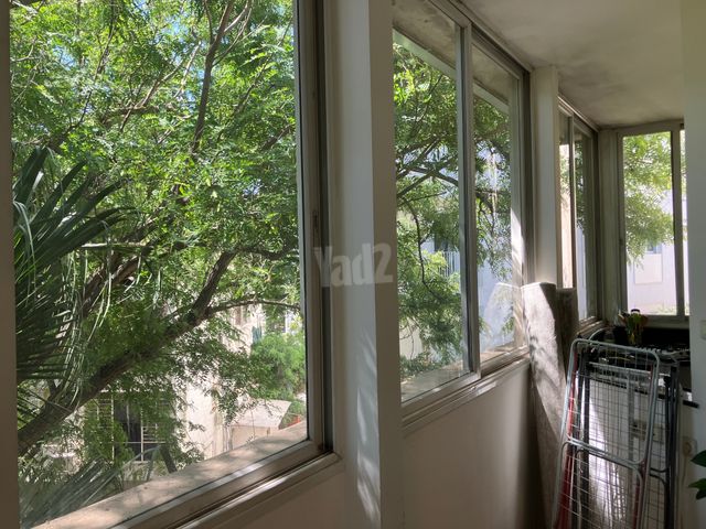 דירה, בצלאל, הצפון החדש - דרום, תל אביב יפו