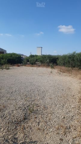המתכנן 