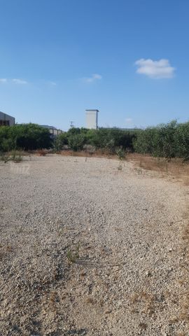 מגרשים