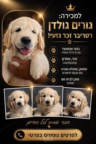 תמונת מודעה - חיות מחמד