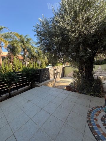 האגוז 456