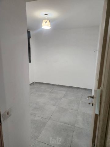 גפן 11