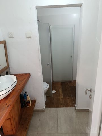 הרקפת 32