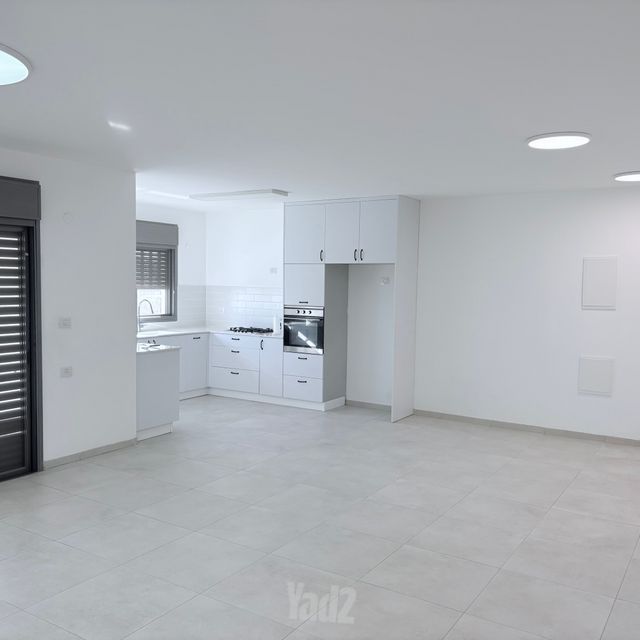 הברוש 4