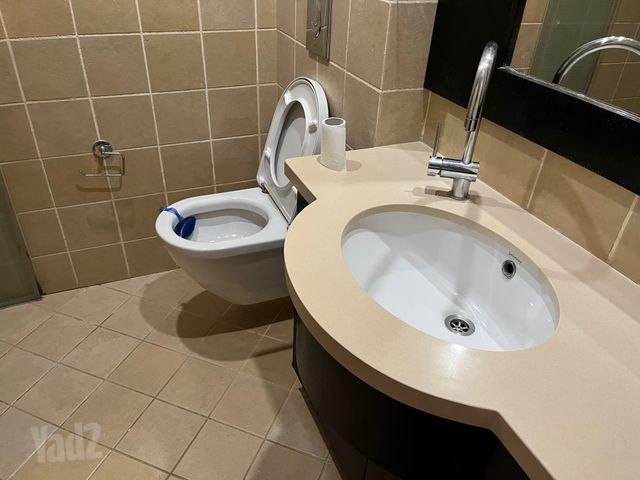 תמונה 7 של דירת 2 חדרים להשכרה בתל אביב יפו