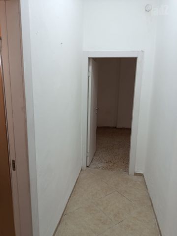עמק הזיתים 9