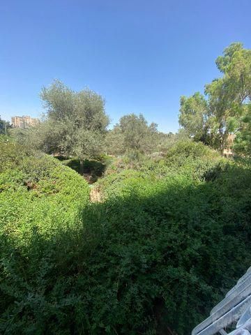 דירה להשכרה בירושלים — 2
