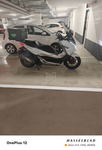 מודעת רכב הונדה FORZA250