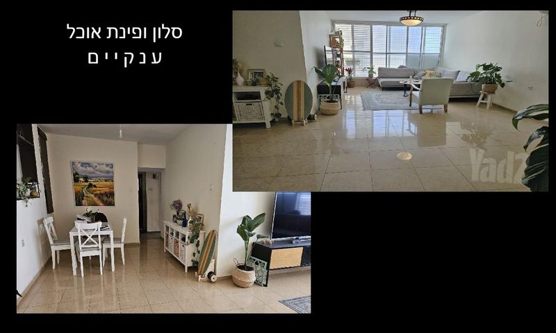 הגליל 43