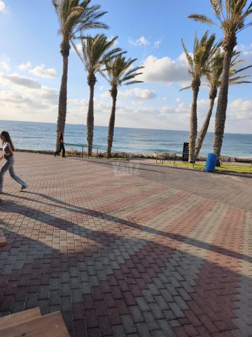 פריחת הדרים 6