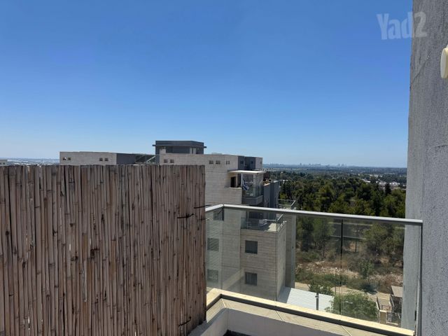 תאנה 44