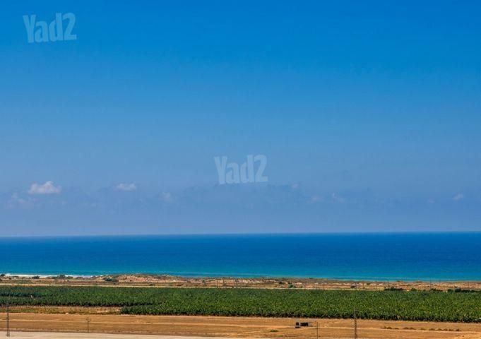 האנפה 22