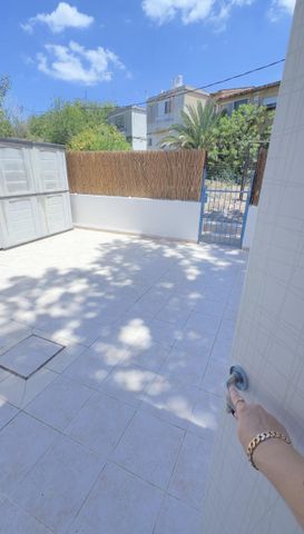 מרדכי 55
