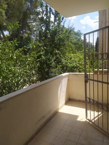 דירה להשכרה בירושלים — 2