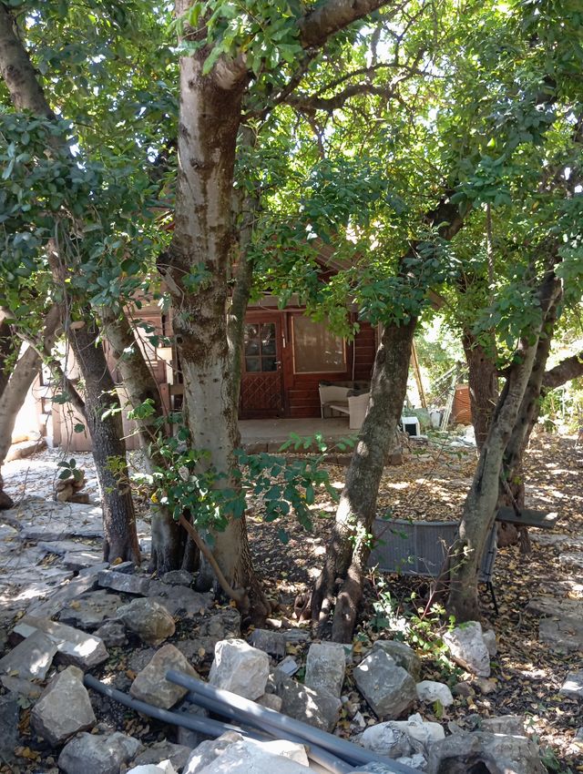 יחידת דיור, שעון השמש 8, כמון, כמון