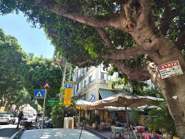שכונת יהלום, מרכז העיר ב