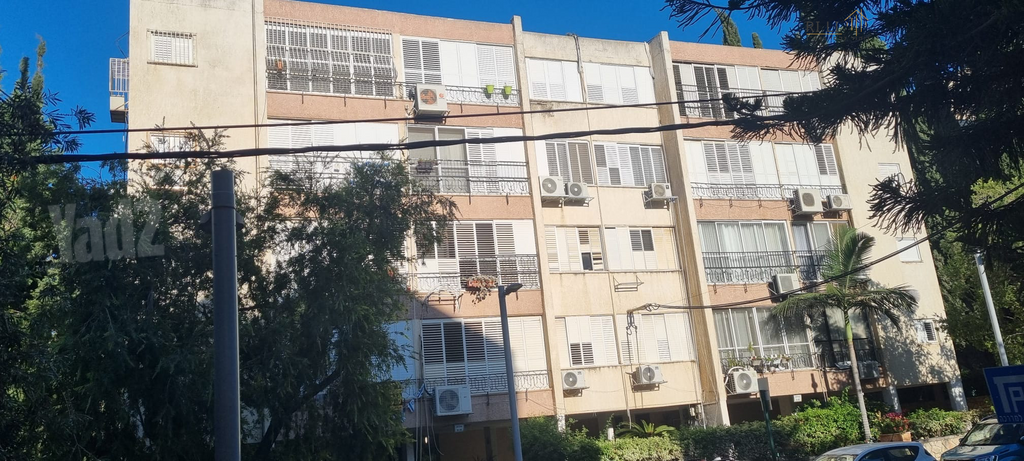 הפרחים