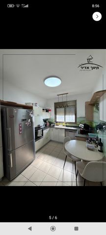 קפלן 19