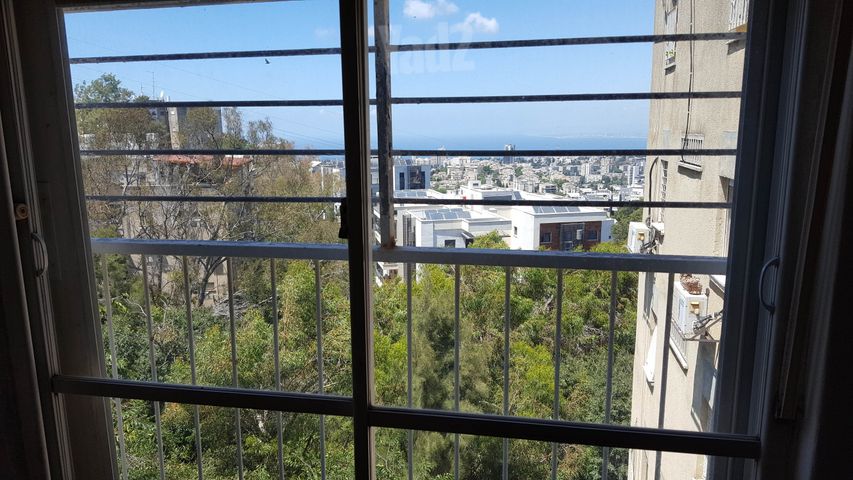 יהודה בורלא 14