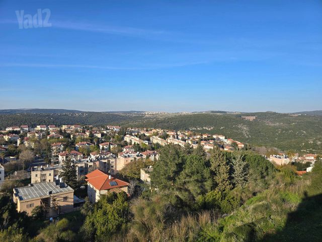 מעלה הבנים 311