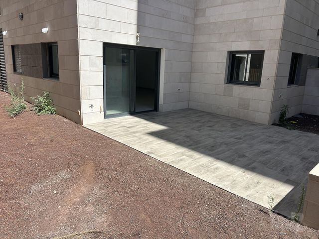 החשמונאים 31