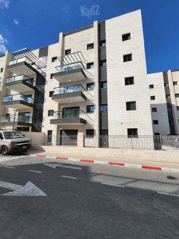 האתרוג 43