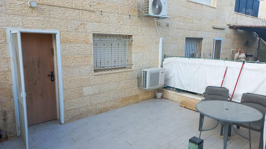 קוצן זהוב 1
