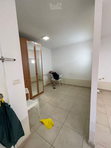 בלפור 6