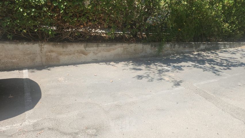 גלוסקין 8