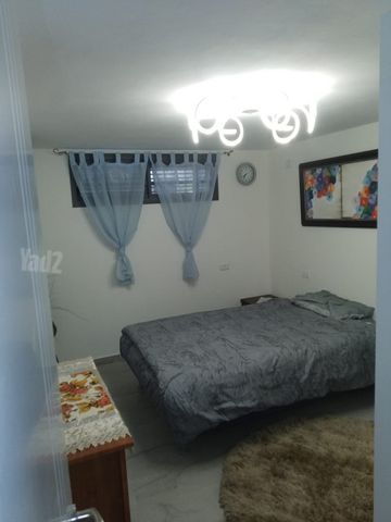 דליה רביקוביץ 19