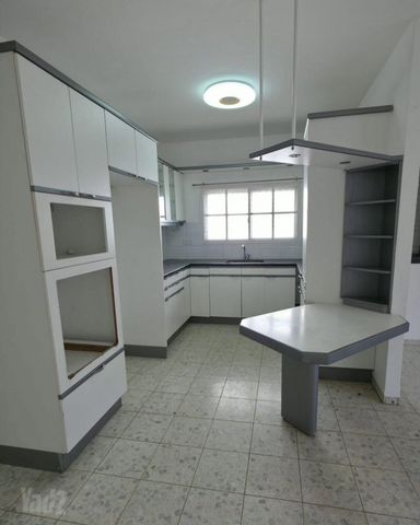 שמעון רייך 2