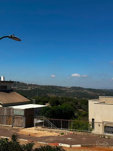 הזית 