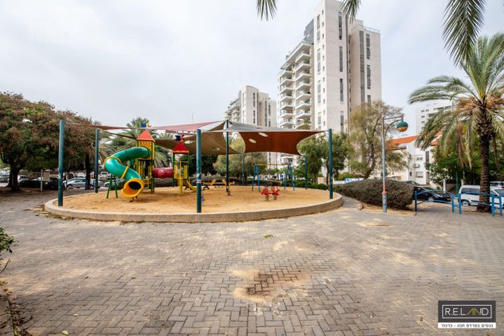 אשכולית 