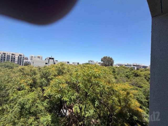 רמת אביב