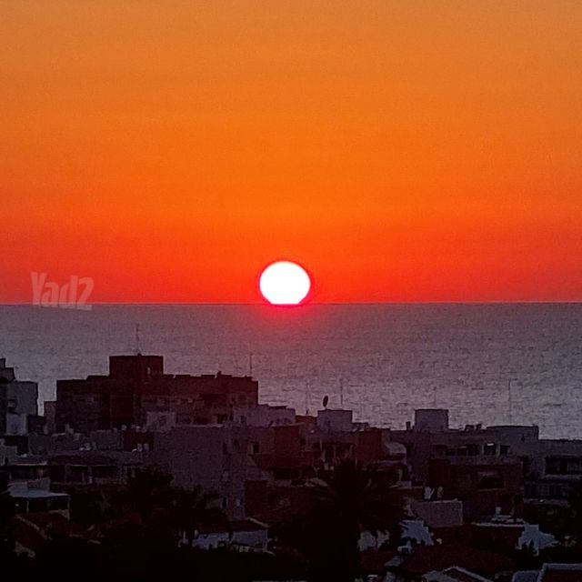 אורט 