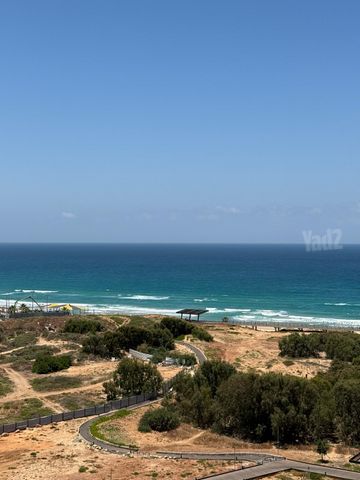יהורם גאון 