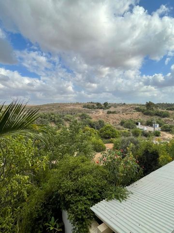 ארז 