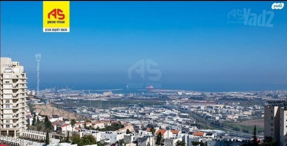 האלון 