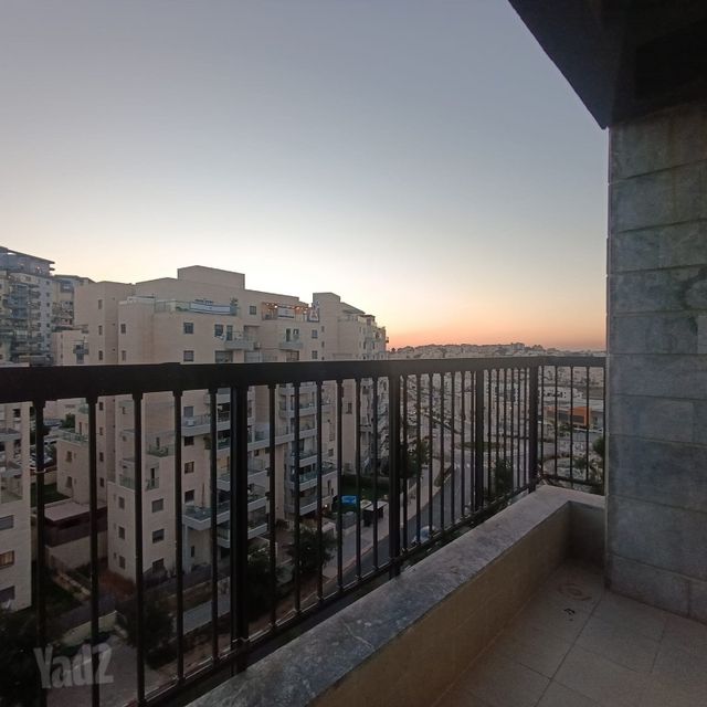 רועי קליין 3
