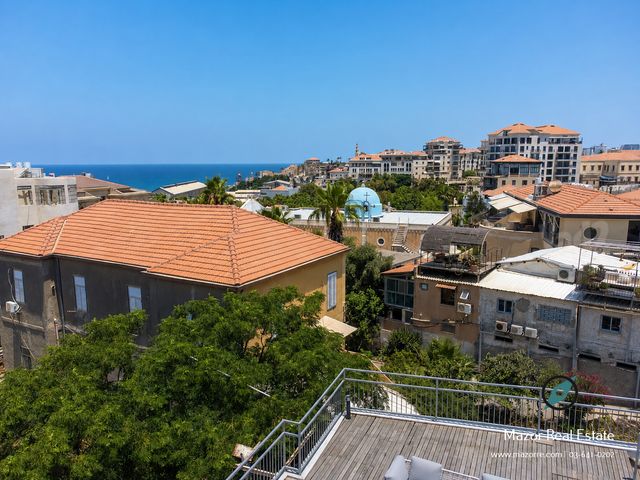 בית פרטי/ קוטג' להשכרה בתל אביב יפו (תיווך) — 4