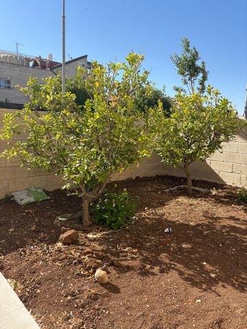 דירת גן להשכרה בירושלים (תיווך) — 5