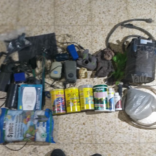 תמונת מודעה - חיות מחמד