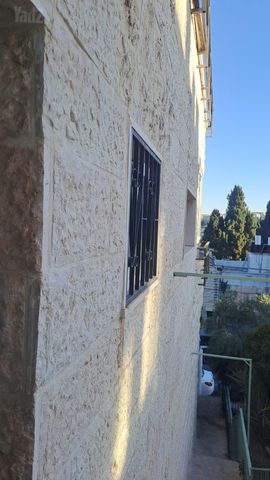 פלורנטין 11