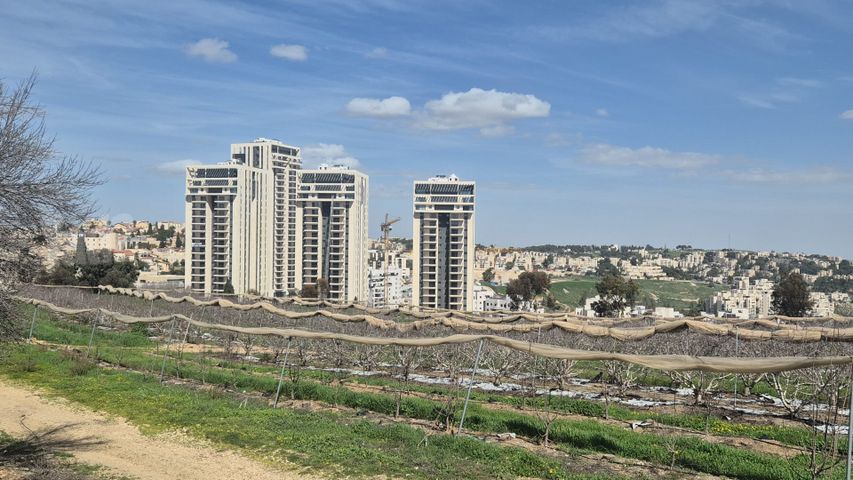 דירה להשכרה בירושלים — 2