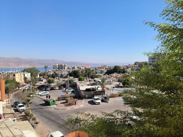 שור 1