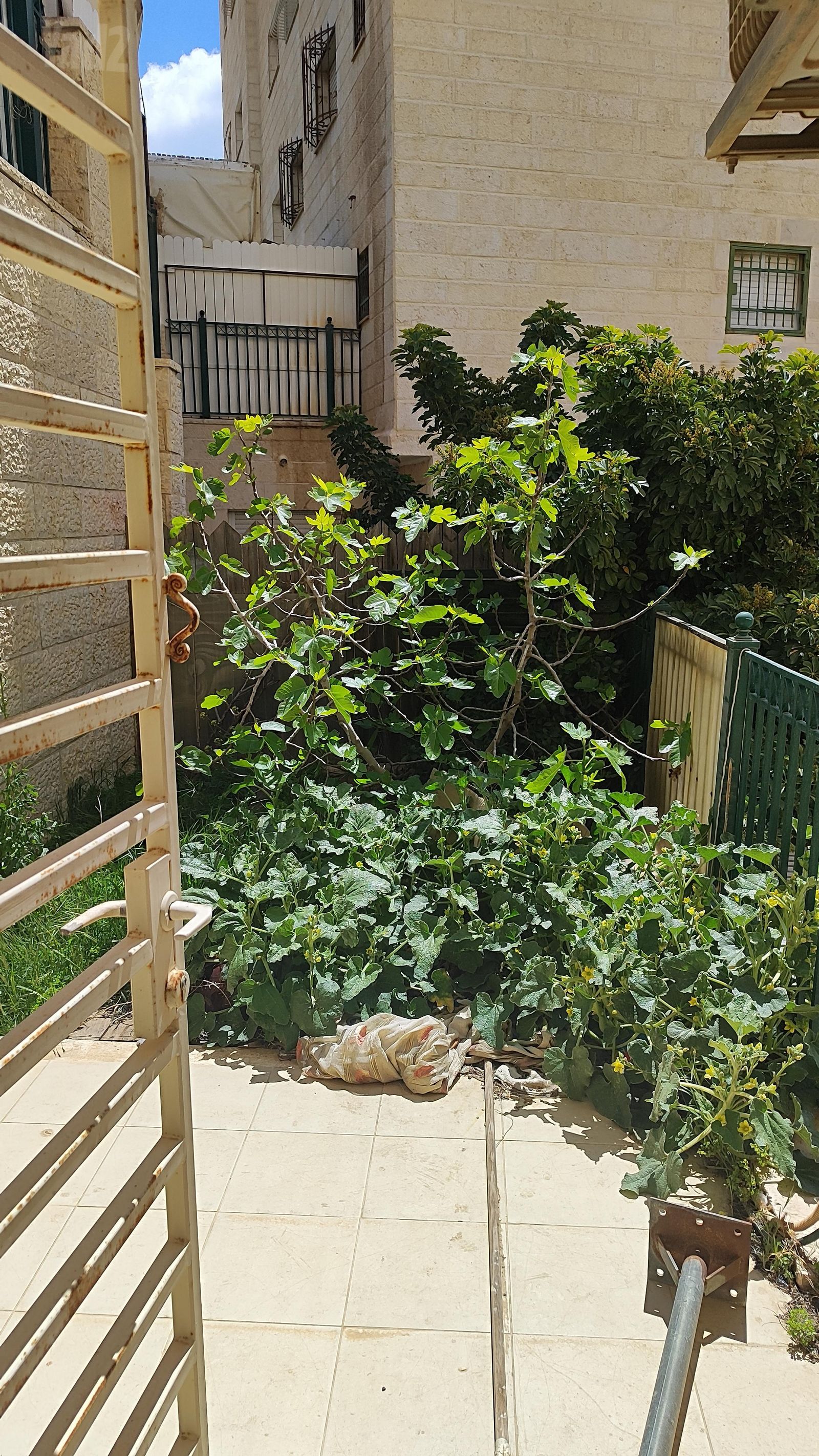 דירה, הרב אריה בינה 31, חומת שמואל, הר חומה, ירושלים