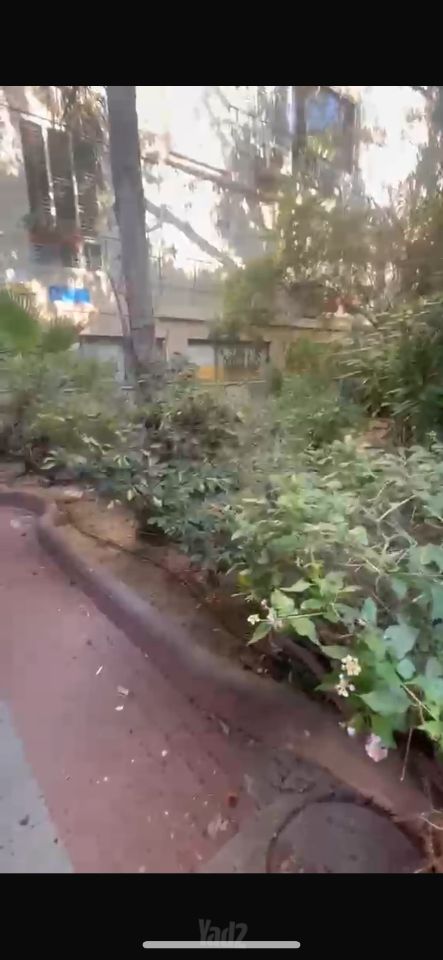 חיים לבנון 92
